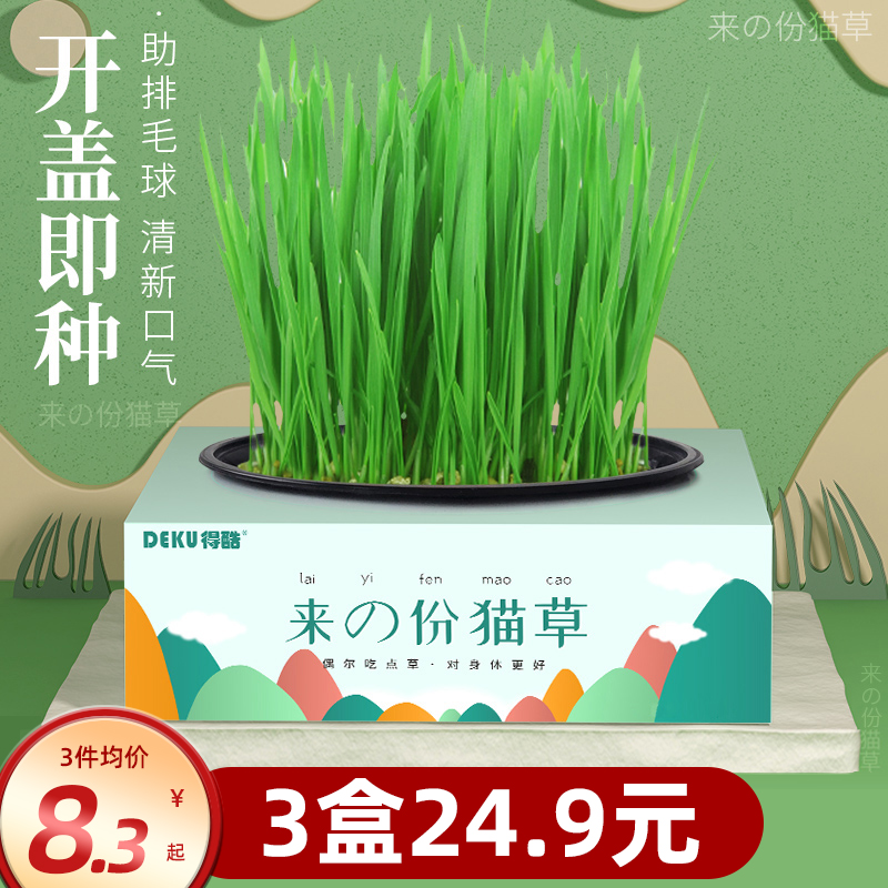 Cat grass seed water bacon cat mint cat snacking hair polo earth pep cat grass seed potted suit kitty supplies-Taobao