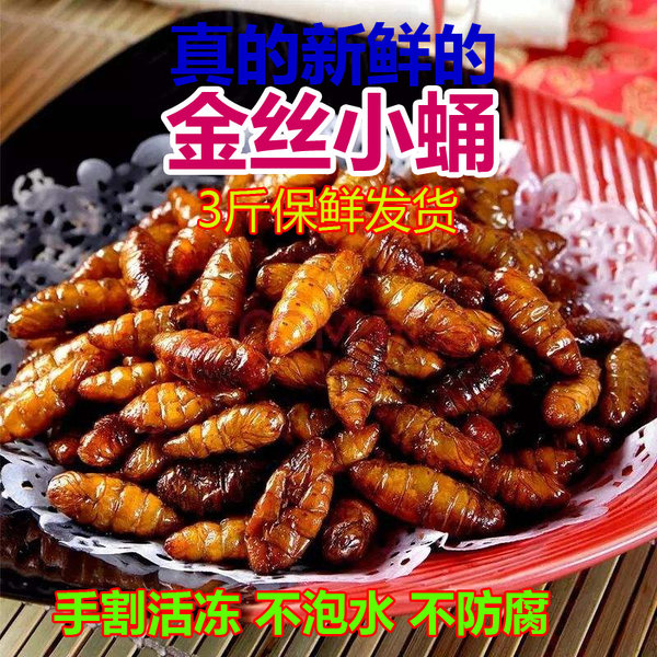 果力乐 秒冻锁鲜装 金丝桑蚕蛹 3斤 天猫优惠券折后￥49.9包邮（￥79.9-30）