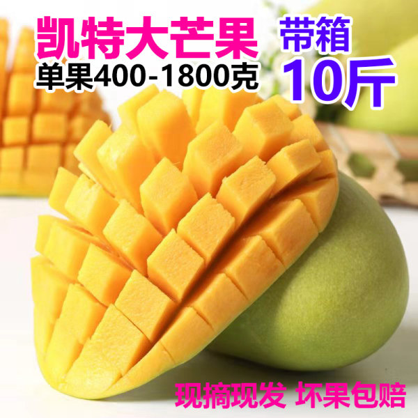 果力乐 四川攀枝花 凯特大芒果 带箱10斤 天猫优惠券折后¥36.8包邮(¥39.8-3) 果力乐 四川攀枝花 凯特大芒果 带箱10斤 天猫优惠券折后¥36.8包邮(¥39.8-3)
