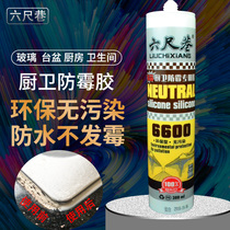 Kitchen bathroom anti-mildew glass glue waterproof transparent toilet sun room fish tank stainless steel special weather resistant sealant