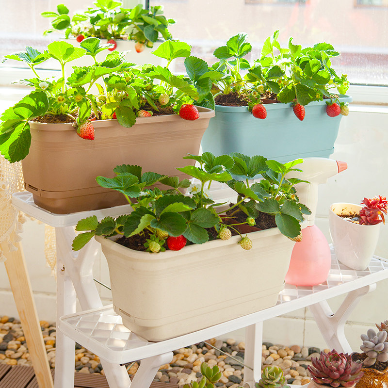 Sloth Flower Pots Balcony Species Vegetable Basin Automatic Suction Water Storage Rectangular Plastic Flower Pots With Depository Dish Special Price Clearing House