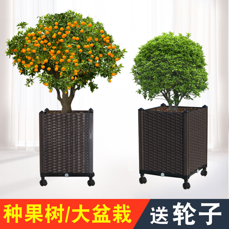 Balcony Species Vegetable Basin Rectangular type tree flower pot Special Large Number of plastic species Tree basin Courtyard Vegetable Planting Box Grape box
