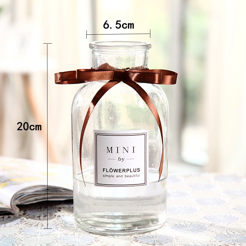 Sáng tạo châu Âu bình thủy tinh lớn cây thủy canh xanh Luo phong phú hoa tre bình phòng khách trang trí bàn trang trí - Vase / Bồn hoa & Kệ chậu dài trồng cây