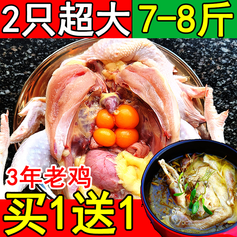 3 years super large chicken hair 2 killed after a total of 7-8 pounds of northern Jiangsu farm free-range old hen grass chicken walking chicken