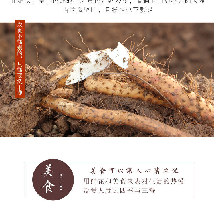 垆土地山药，铁棍山药，焦作山药批发插图(6)
