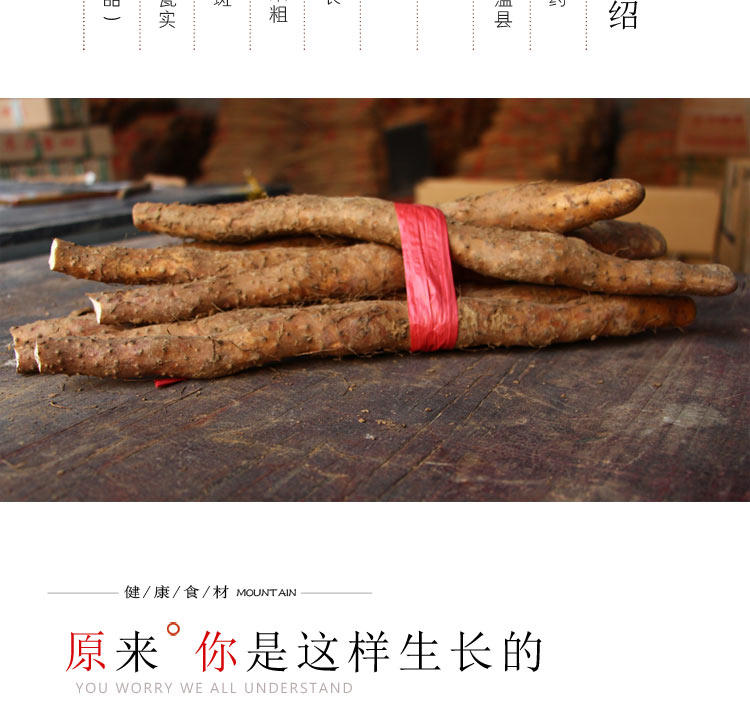 垆土地山药，铁棍山药，焦作山药批发插图(3)