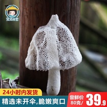 Fujian farmers new self-produced bamboo sun dry skirt dry bamboo sun non-smoked sulfur bamboo sun 80g