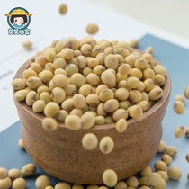 Aiais home new yellow Xiaodou Fujian Jianning self-produced farm soybeans
