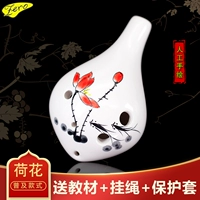 Lotus [популяризированная модель] поддерживает товары, чем три дома