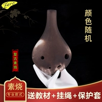 Вегетарианская [профессиональная деятельность] поддерживает товары, чем три дома