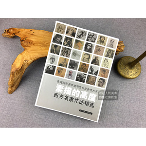 素描的高度 应金飞 著作 工艺美术（新）艺术 新华书店正版图书籍 浙江人民美术出版社