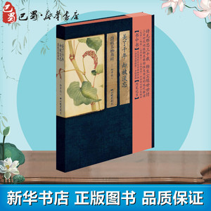 美了千年,却被淡忘 (日)细井徇 绘图 中国古诗词文学 新华书店正版图书籍 中国画报出版社