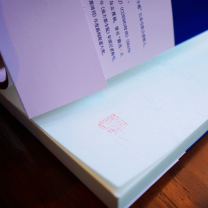 头等舱 黄佟佟 著 官场小说文学 新华书店正版图书籍 东方出版社