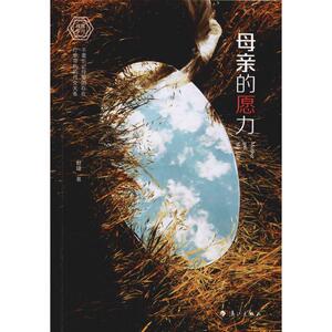 母亲的愿力 赵婕 著 现代/当代文学文学 新华书店正版图书籍 漓江出版社