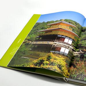 日本庭园的艺术 (加)大卫·扬(David Young),(加)美智子·扬(Michiko Young) 著 任艳 译 建筑/水利（新）专业科技