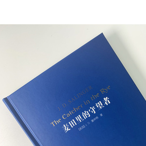 麦田里的守望者 (美)J.D.塞林格(J.D.Salinger) 著 施咸荣 译 现代/当代文学文学 新华书店正版图书籍 江苏译林出版社有限公司