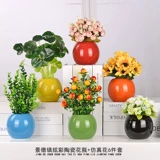 喜莱卡 Моделирование цветочных наборов псевдо -яроды домашней гостиной.