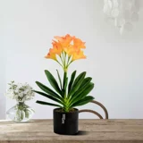 Нежная орхидея бонсай моделирование поддельные фальшивые цветочные набор зеленые растения Внутренняя гостиная телевизор xuangance Место места в баре декоративные цветы