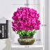 Phalaenopsis mô phỏng hoa lụa hoa trang trí trang trí nhà phòng khách trong nhà bàn trà TV tủ giả hoa mô phỏng hoa hoa nhựa treo tường Hoa nhân tạo / Cây / Trái cây