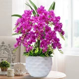 Phalaenopsis Simulation Flower Set Pseudo -Lower Display Домашняя гостиная