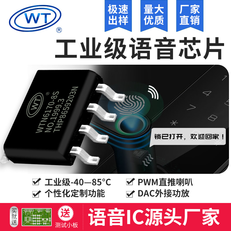 Vitron WTN6 series otp voice chip custom audio output smart fingerprint lock ic long seconds low power consumption