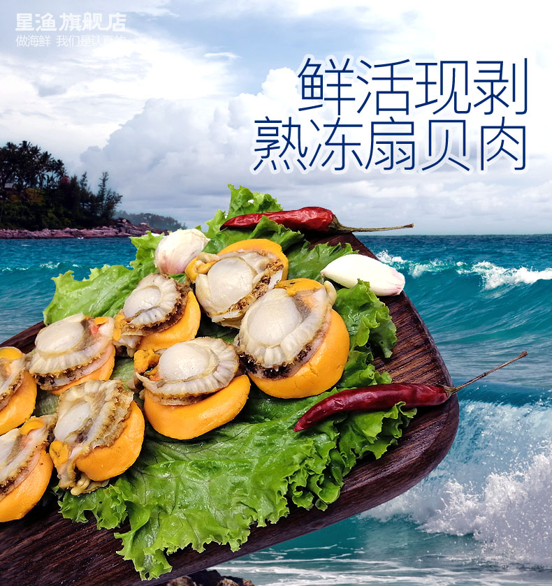 星渔 去壳新鲜熟冻扇贝肉 500g*3件（含冰衣） 双重优惠折后￥49.9顺丰包邮（拍2件）
