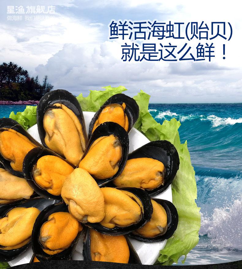 星渔 山东特产 半壳贻贝 蓝口贝 5斤 双重优惠折后￥34.9包邮（拍2件）