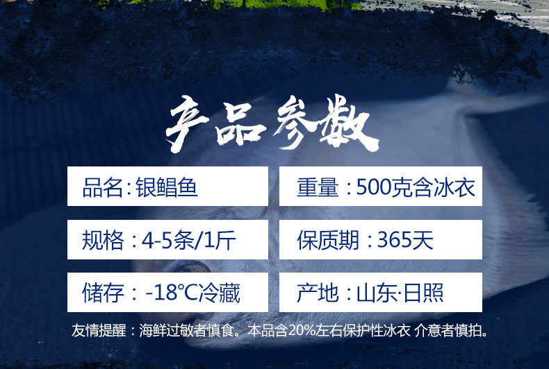 星渔 海捕野生冷冻大号银鲳鱼 3斤 每斤约4~5条 图3