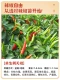 (Essential Garden) Одиночный перец саженцы 6 деревьев