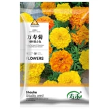 Южная Африка Wanshou chrysanthemum Семена четыре сезона Элеи