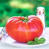 Heachu Giant Steak Steak Tomare Seed Seed Seed Seeds Seeds Great West томатные саженцы четыре сезона подковы овощи