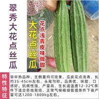 Cuixiu Dahua Looson Seed 30 Упрощенное варьируется (большая цветочная точка слегка сладкая)