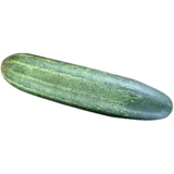 Фрукты хрустящие глупые вишневые саженцы семян