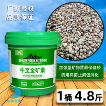 Hayxiang Imperial Dove Drug Bull to Whole Mine Parrot Dove Pigeon Dove With Health Care Sand Pigeon Health Sand Grain Nutritious Food