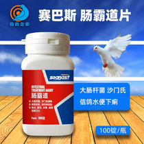 Sybas Salmonella Pigeon Dove Dove Pigeon Dove Water Poo Green Poo Gut Conditioning Bird Parrot Laze Medicine