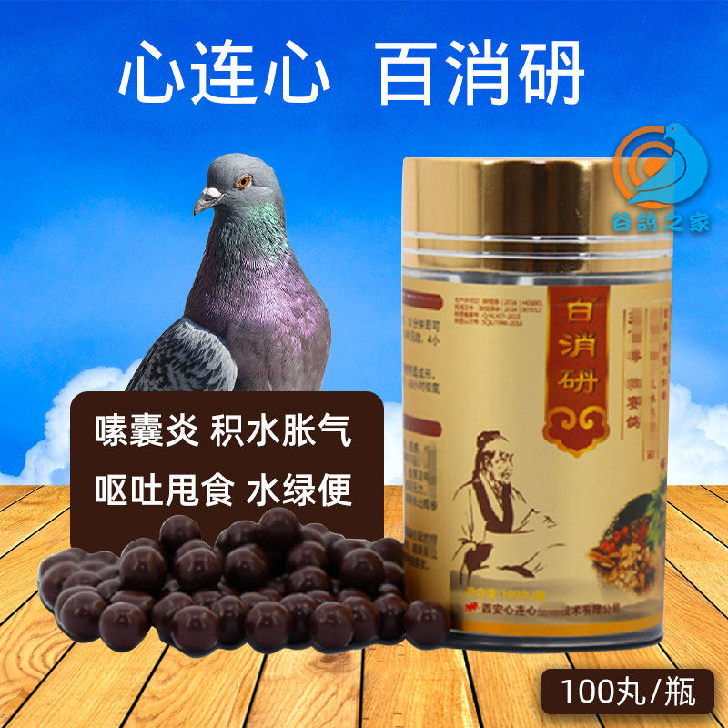 Heart-connected Baiddin Pigeon Drug Grand Glaxy Virus Pigeon Pull Water Green Pigeon Pull Throw Toast