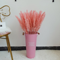 ins net red pink reed dried flower bouquet decoration vase window live background Living room floor-to-ceiling decorative ornaments