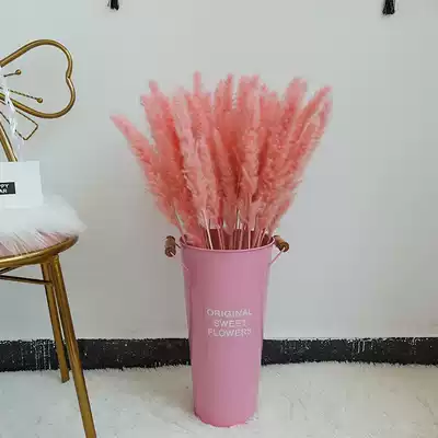 ins Net red pink Reed dry flower bouquet decoration vase window live background living room floor decoration decoration