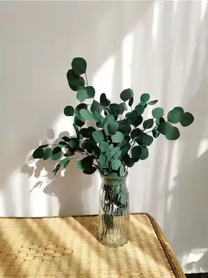 Natural Eucalyptus air-dried high-grade dried flowers, real flower bouquet, immortal flowers, round leaves, light luxury living room decoration, flower arrangement ornaments