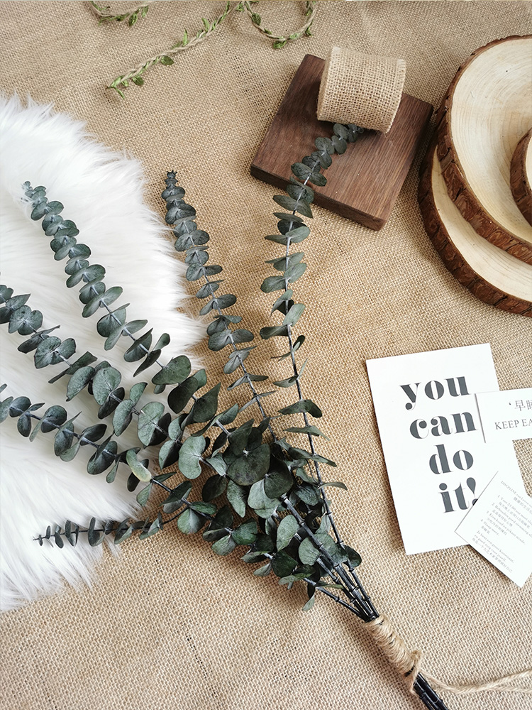 Yugali Leaf Dry Flower Bouquet Ins Photo Props Nordic Wind Natural Eucalyptus Dry Leaf Evergreen Flowers Living Room Decoration