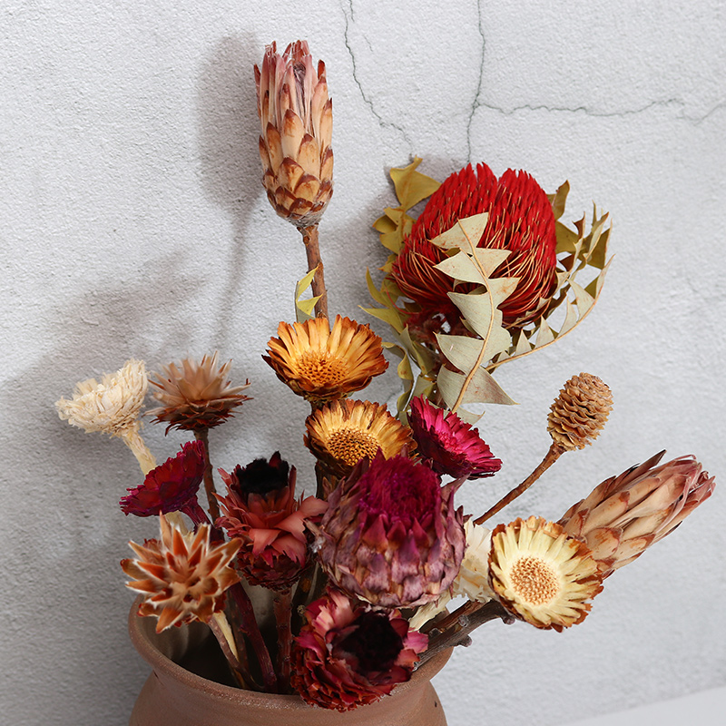 Natural Flowers Dried Flowers Bouquet Living Room Decoration Import Retro Superior South African Bully King Flowers Monarch Flowers Table Hem Flowers
