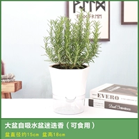 [Rosemary] Da Pot Hexagonal Lazy Self -Absorbing Basin для отправки удобрений