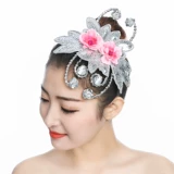 Современный классический костюм для взрослых, этнический аксессуар для волос для танцевального шоу