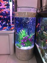 Household cylindrical fish tank medium large aquarium round semicircle creative fish tank living room office