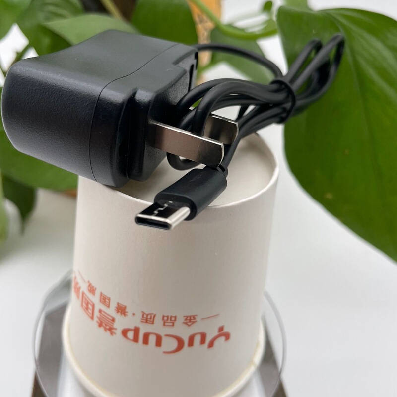 Type-C Extended Head Direct Charging 5V Charger for Elderly Mobile Phones and Smartphones, Integrated Cable Charging for Domestic Generic Phones