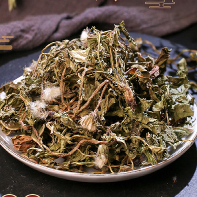 蒲公英天然蒲公英茶女性新鲜浦公英根草药