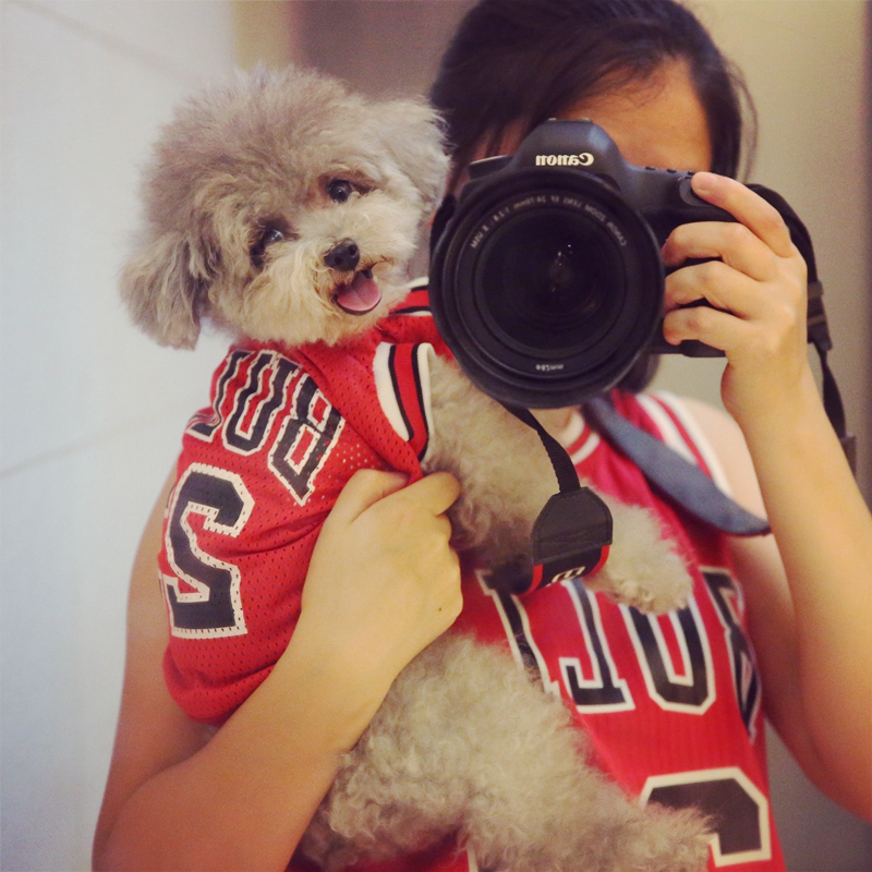 Cat clothes dog vest breathable mesh thin section summer Teddy VIP bichon dog summer clothes