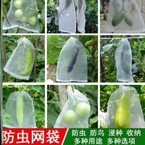 Filter net bag melon and fruit bag insect net bag fruit insect bag fruit tree bag net bag loan net bird bird gauze bag net