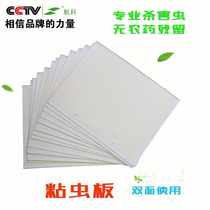 Double-sided sticky worm plate yellow plate trap fruit fly plate thrips White whitefly aphids black insects kill small flying insects sticky plate greenhouse