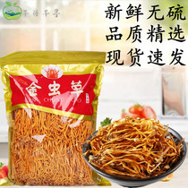 Caterpillar Fungus Flowers 250g Dry Cargo Level Spore Head Selected Fresh North Gold chrysalis Caterpillar Fungus Soup material Messy And Affordable